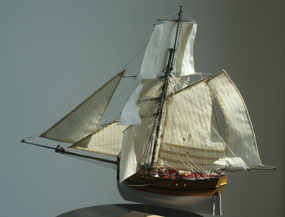 Fly ready for display case